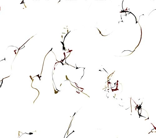 Couverture SIX ENCOMIUMS FOR CECIL TAYLOR de WINGED SERPENTS