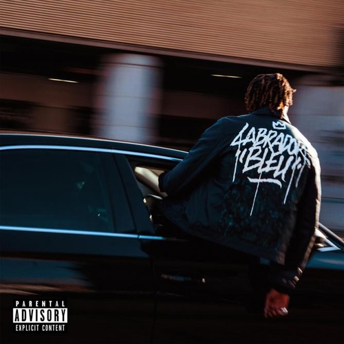 Couverture LABRADOR BLEU de ISHA