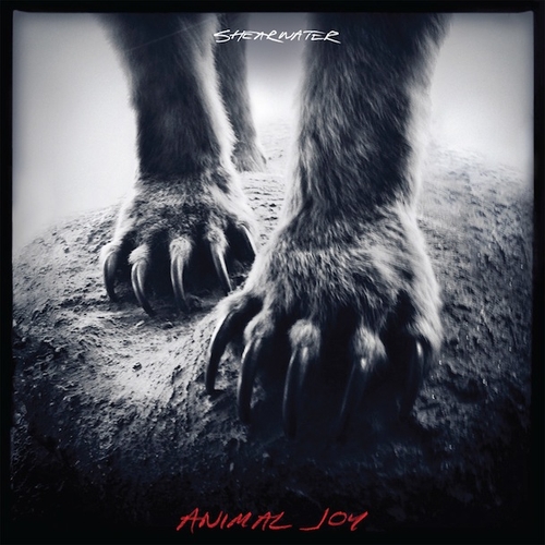 Couverture ANIMAL JOY de SHEARWATER
