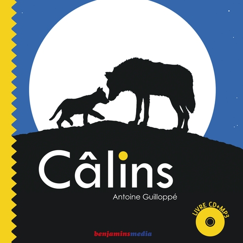 Couverture CÂLINS de Antoine GUILLOPPÉ