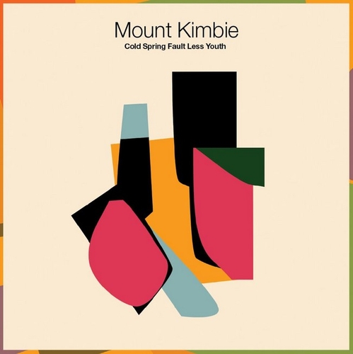 Couverture COLD SPRING FAULT LESS YOUTH de MOUNT KIMBIE