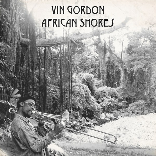 Couverture AFRICAN SHORES de Vin GORDON