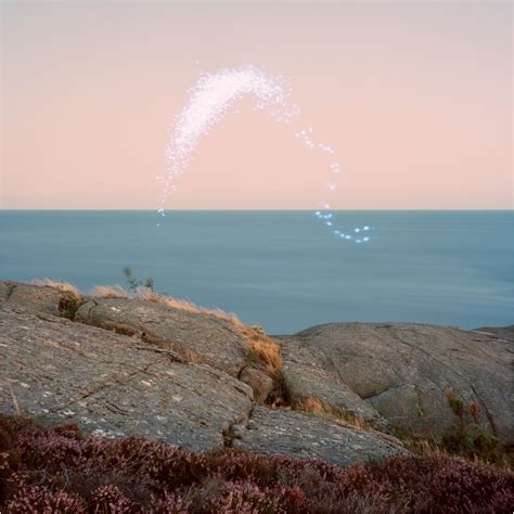 Couverture AN OVERVIEW ON PHENOMENAL NATURE de Cassandra JENKINS