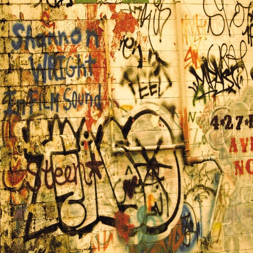 Couverture IN FILM SOUND de Shannon WRIGHT