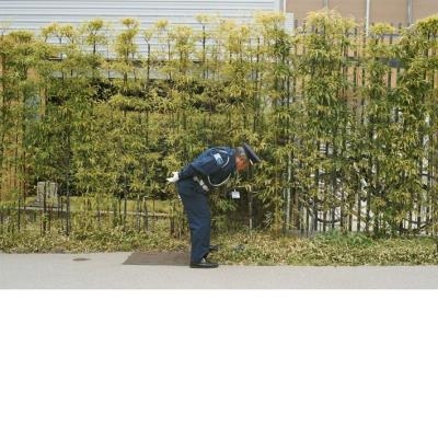 Couverture GOOD LUCK AND DO YOUR BEST de GOLD PANDA