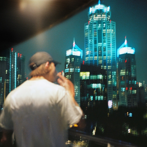 Couverture LES GALERIES de ROMEO ELVIS