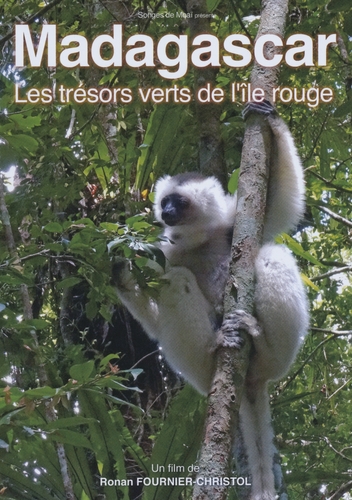 Couverture MADAGASCAR - LES TRÉSORS VERTS DE L'ÎLE ROUGE