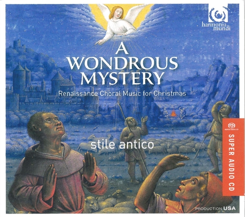 Couverture A WONDROUS MYSTERY