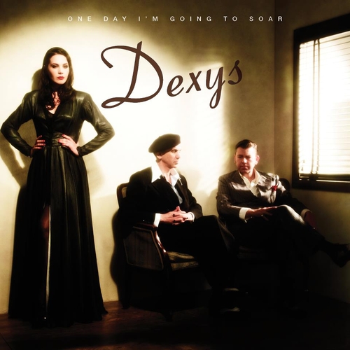 Couverture ONE DAY I'M GOING TO SOAR de DEXYS