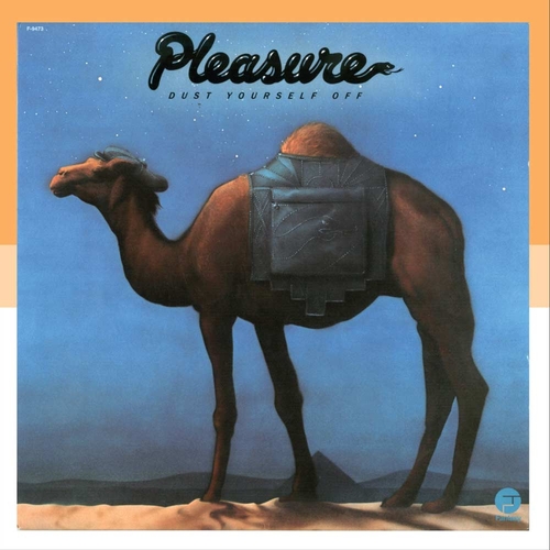 Couverture DUST YOURSELF OFF de PLEASURE