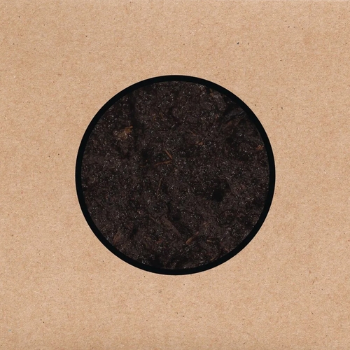 Couverture BIRTHING de SWANS