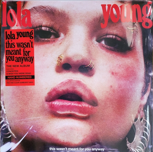 Couverture THIS WASN'T MEANT FOR YOU ANYWAY de Lola YOUNG