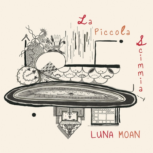 Couverture LA PICCOLA SCIMMIA de LUNA MOAN