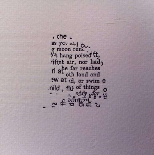 Couverture FROLIC ARCHITECTURE de Susan HOWE & DAVID GRUBBS