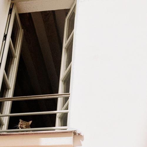 Couverture SOMETHING SOFT de M(H)AOL