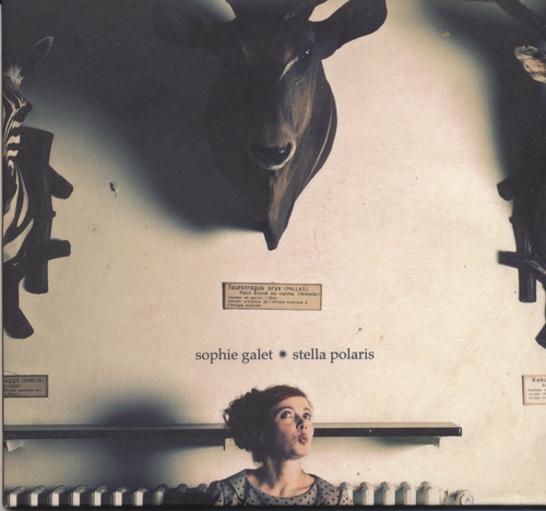 Couverture STELLA POLARIS de Sophie GALET