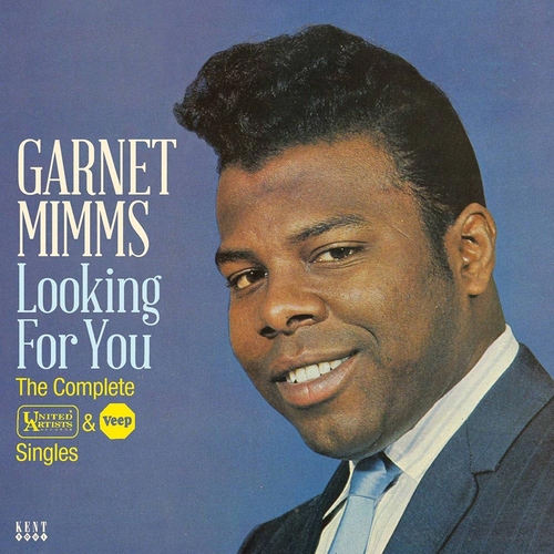 Couverture LOOKING FOR YOU de Garnet MIMMS