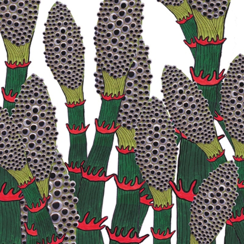 Couverture IV de PART CHIMP