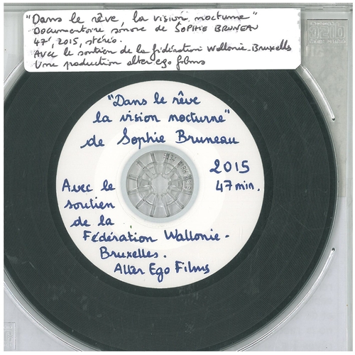 Couverture DANS LE RÊVE, LA VISION NOCTURNE de Sophie BRUNEAU