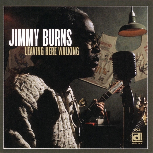 Couverture LEAVING HERE WALKING de Jimmy BURNS