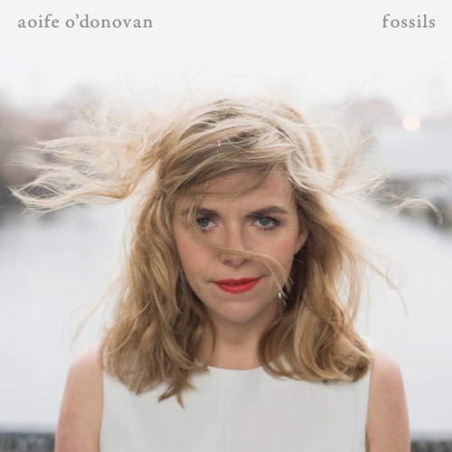 Couverture FOSSILS de Aoife O'DONOVAN