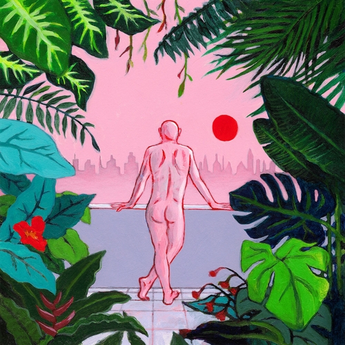 Couverture EST-CE QUE TU VOIS LE TIGRE ? de LE ROI ANGUS