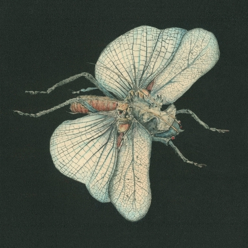 Couverture GO DIG MY GRAVE de SUSANNA