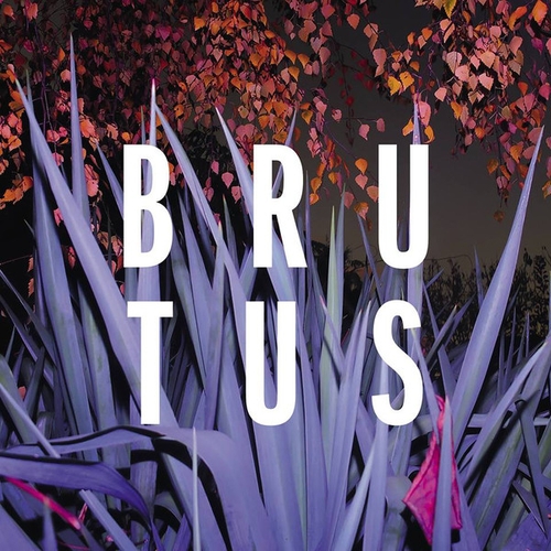 Couverture BURST de BRUTUS