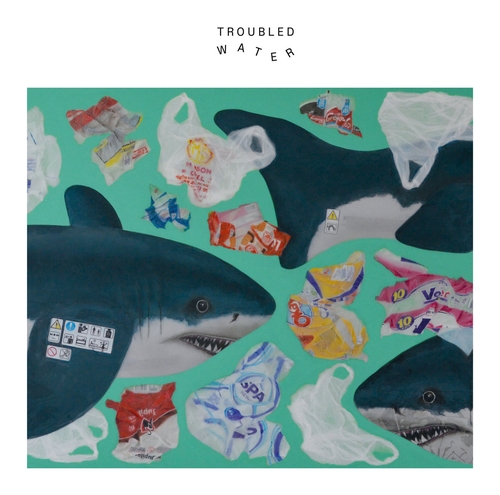 Couverture TROUBLED WATER de Casimir LIBERSKI/TATSUYA YOSHIDA