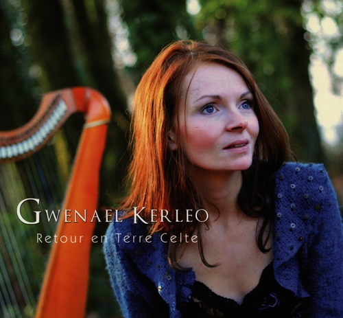 Couverture RETOUR EN TERRE CELTE de Gwenael KERLEO