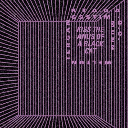 Couverture WELTUNTERGANGSSTIMMUNG de KISS THE ANUS OF A BLACK CAT