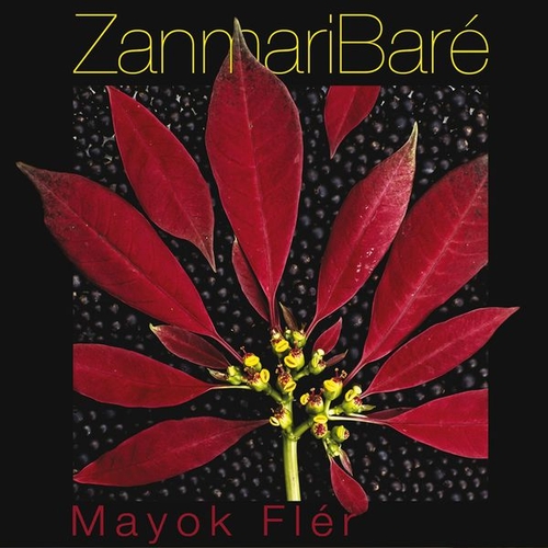 Couverture MAYOK FLÉR de Zanmari BARÉ