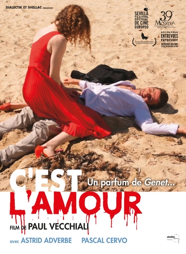 Couverture C'EST L'AMOUR de Paul VECCHIALI