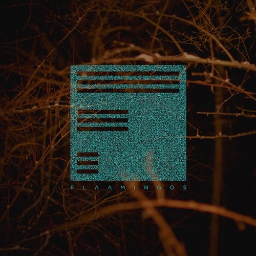 Couverture FLAAMINGOS de FLAAMINGOS