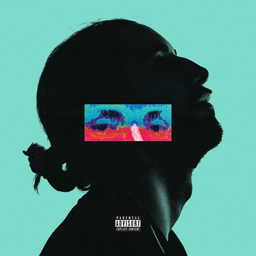 Couverture JEANINE de LOMEPAL