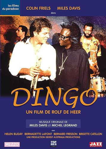 Couverture DINGO de Rolf DE HEER