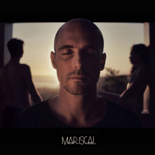 Couverture PLUS LE TEMPS de MARISCAL