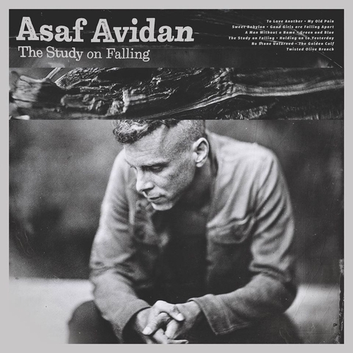 Couverture THE STUDY ON FALLING de Asaf AVIDAN