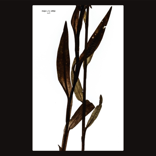 Couverture SULT de Maja S.K. RATKJE