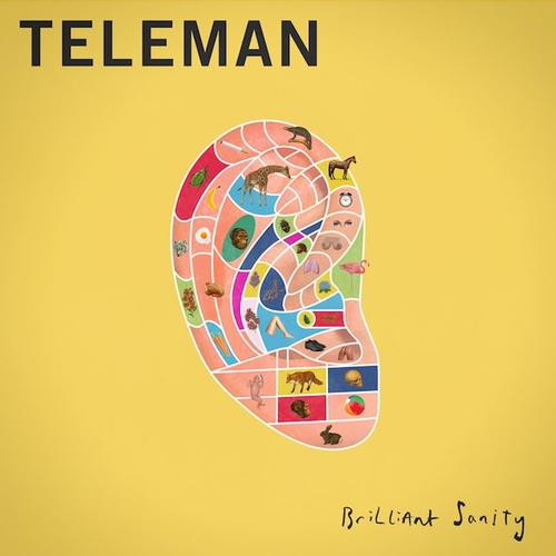 Couverture BRILLIANT SANITY de TELEMAN