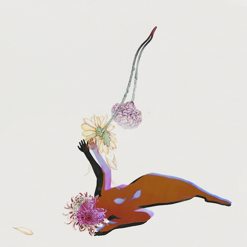 Couverture FAR FIELD de FUTURE ISLANDS