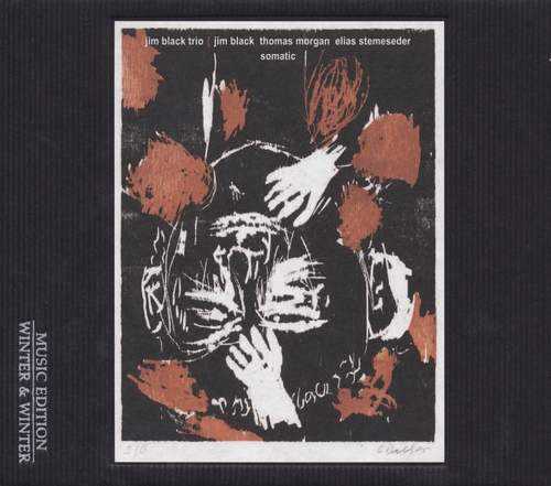 Couverture SOMATIC de Jim BLACK TRIO