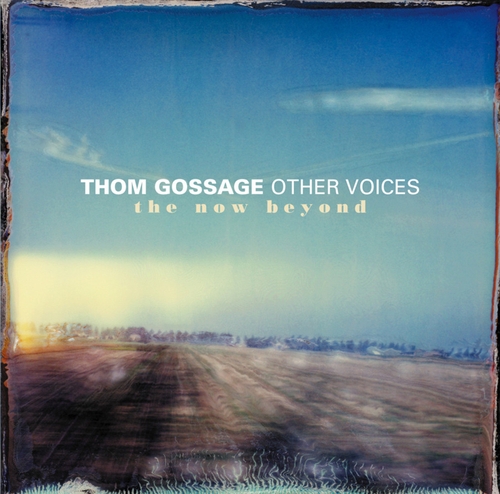 Couverture THE NOW BEYOND de Thom GOSSAGE'S OTHER VOICES