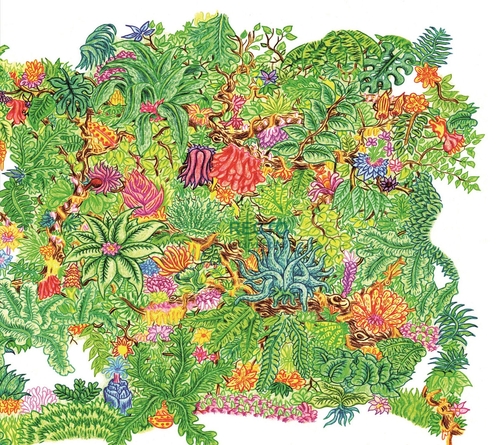 Couverture DÉLICAT DÉNI de CHOCOLAT BILLY