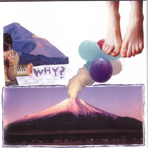 Couverture ELEPHANT EYELASH de WHY?