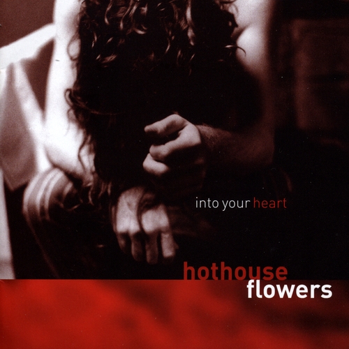 Couverture INTO YOU HEART de HOTHOUSE FLOWERS
