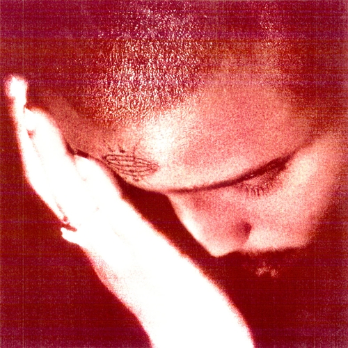 Couverture THE PASSIONATE ONES de NOURISHED BY TIME