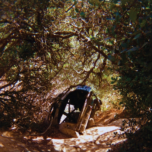 Couverture POSSESSION de Ty SEGALL