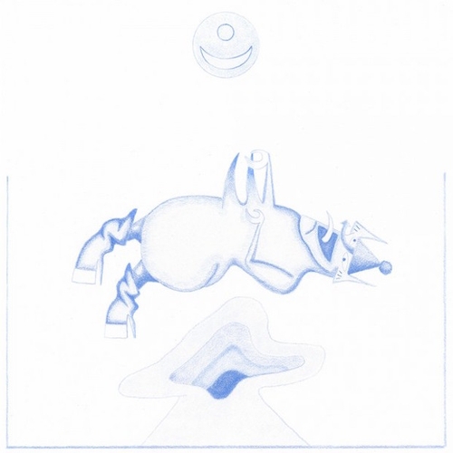 Couverture APE IN PINK MARBLE de Devendra BANHART