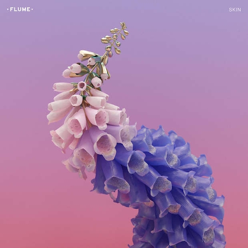 Couverture SKIN de FLUME